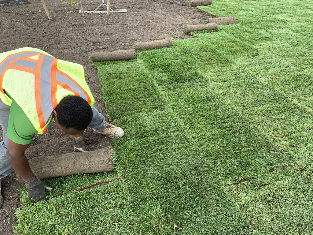Sod and Ground Preparation for Healthy Lawns in Spartanburg, SCn Lawn care professional preparing soil for sod installation in Spartanburg, SC